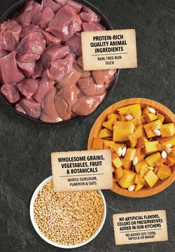 ACANA Singles Wholesome Grains, Duck & Pumpkin Recipe, Limited Ingredient Diet Dry Dog Food - Image 2