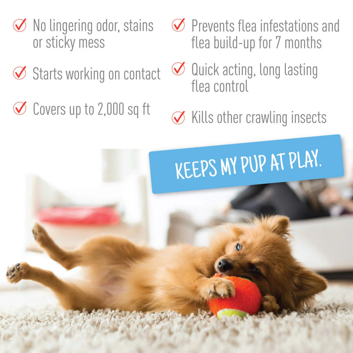 Adams Plus Flea & Tick Carpet Spray - Image 5