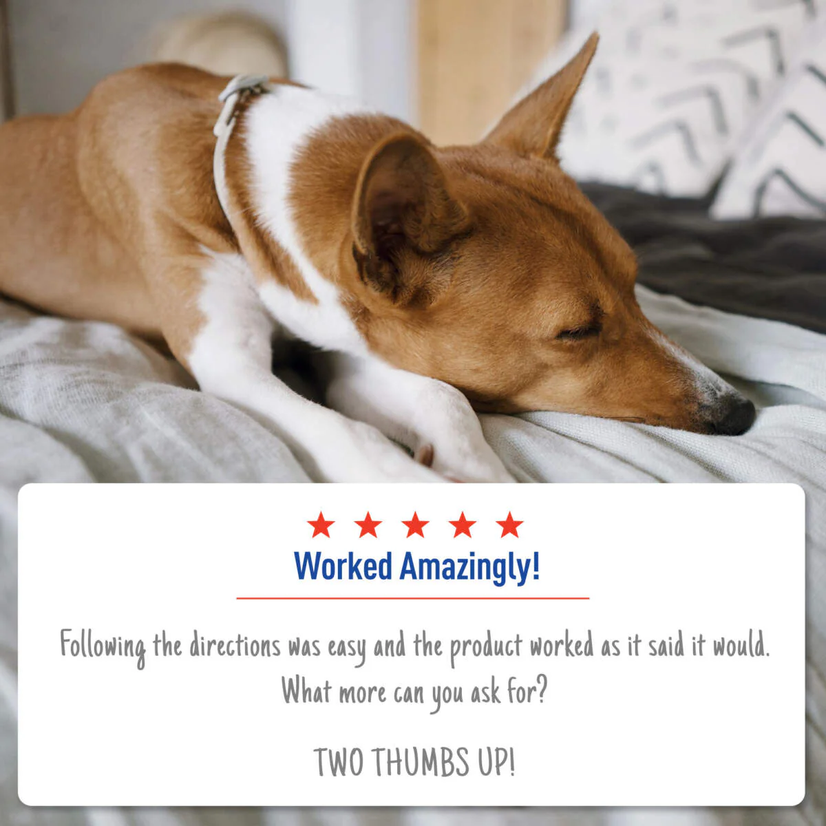 Adams Plus Flea & Tick Indoor Fogger - Image 7