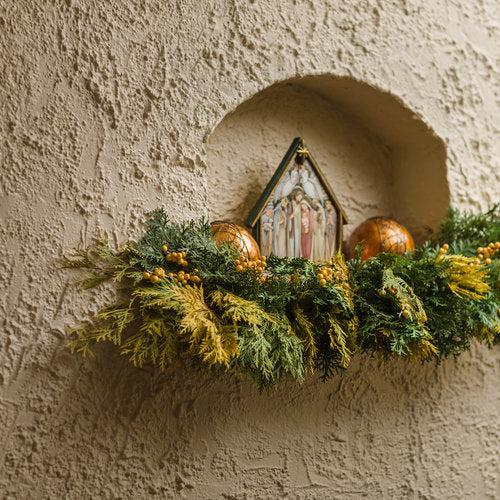 Arborvitae, Anna's Magic Ball® Arborvitae - Image 4