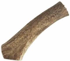 Happy Dog Whole Elk Antler, Small