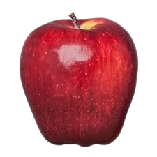 Apple, Red Delicious, 7 gal. (5-7 ft) - Image 2