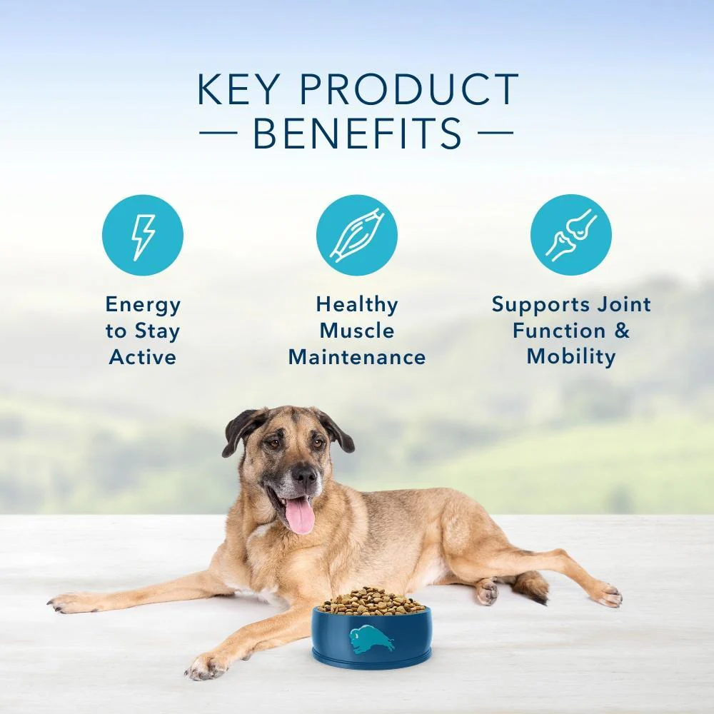 Blue Buffalo Life Protection Natural Chicken & Brown Rice Recipe Senior Dry Dog Food - Image 4