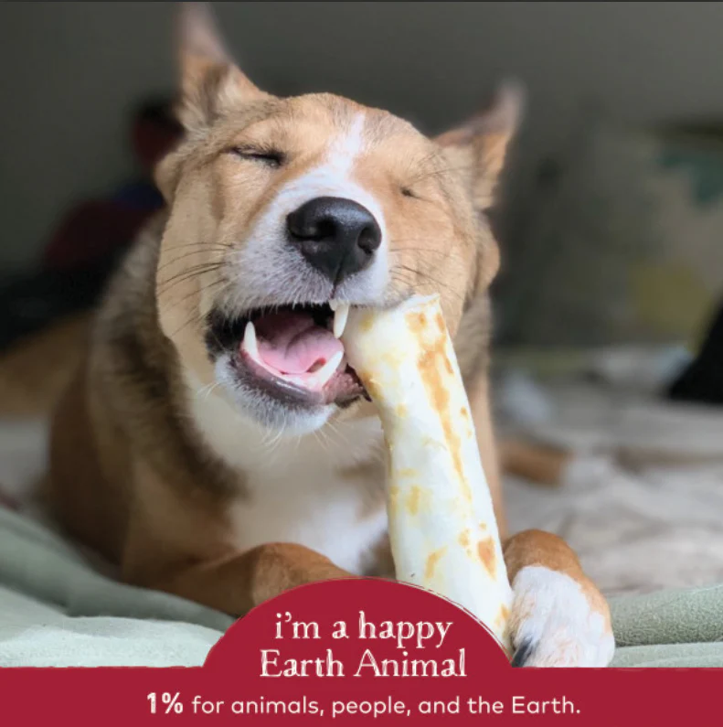 Earth Animal Beef No-Hide Wholesome Dog Chews- Medium, 7" - Image 5