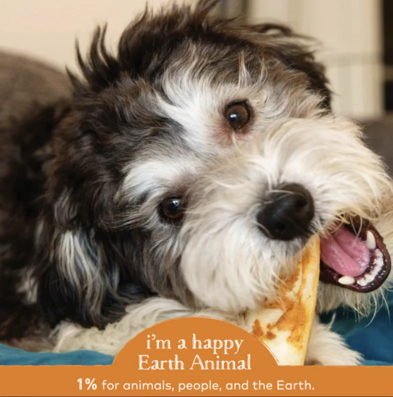 Earth Animal Chicken No-Hide Wholesome Dog Chews - Small, 4" - Image 5