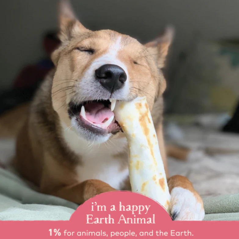Earth Animal Salmon No-Hide® Wholesome Dog Chews- Medium, 7" - Image 5