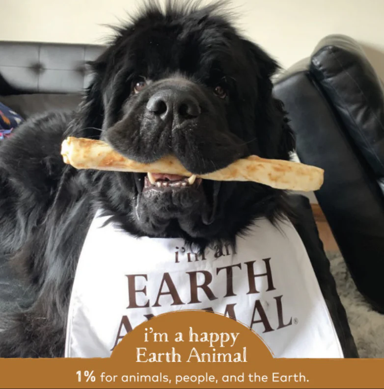 Earth Animal Venison No-Hide Wholesome Dog Chews - Large, 11" - Image 4