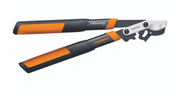 18" Lopper Branch 1-1/2 Inch Cut