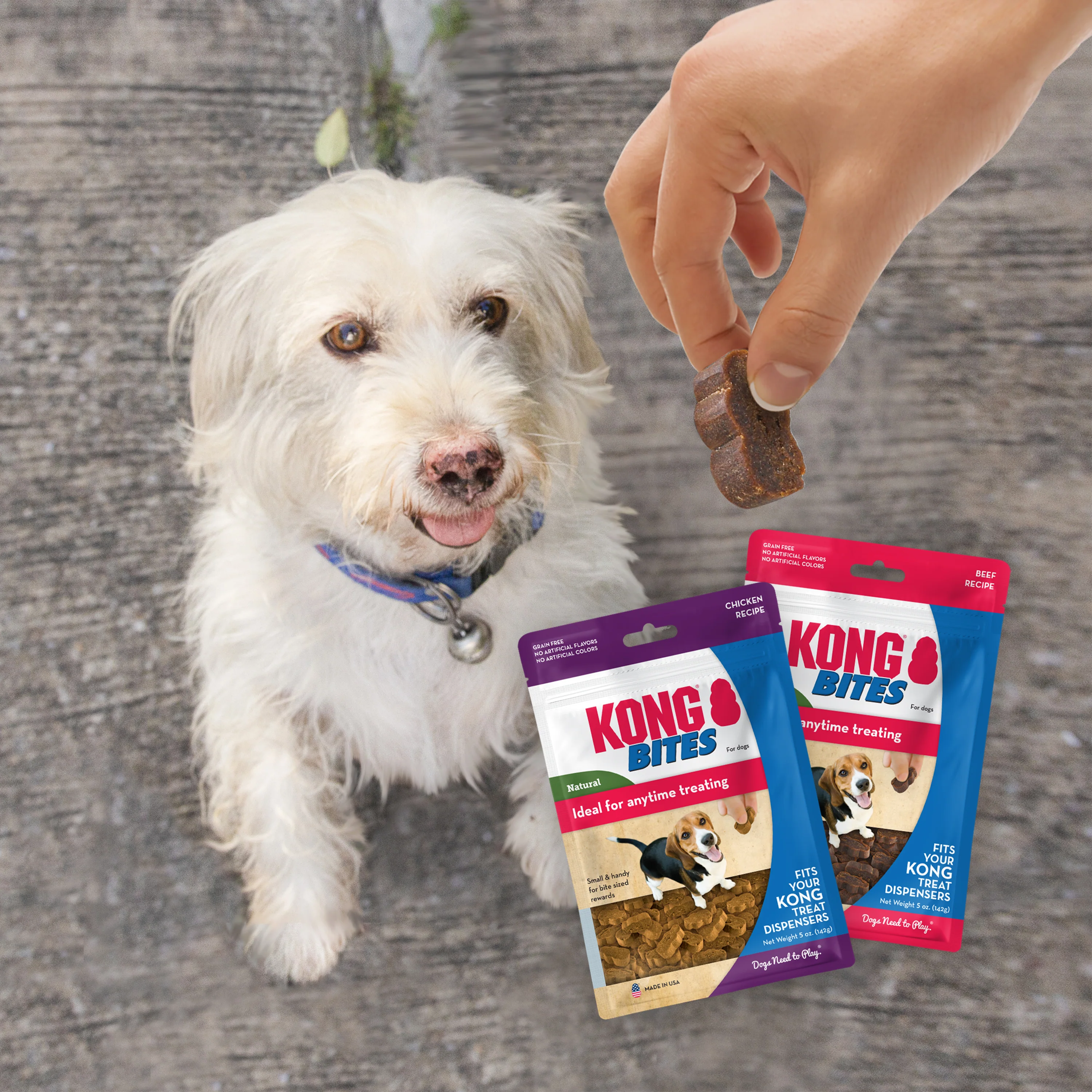 KONG Bites Dog Treats, Chicken, 5oz - Image 4