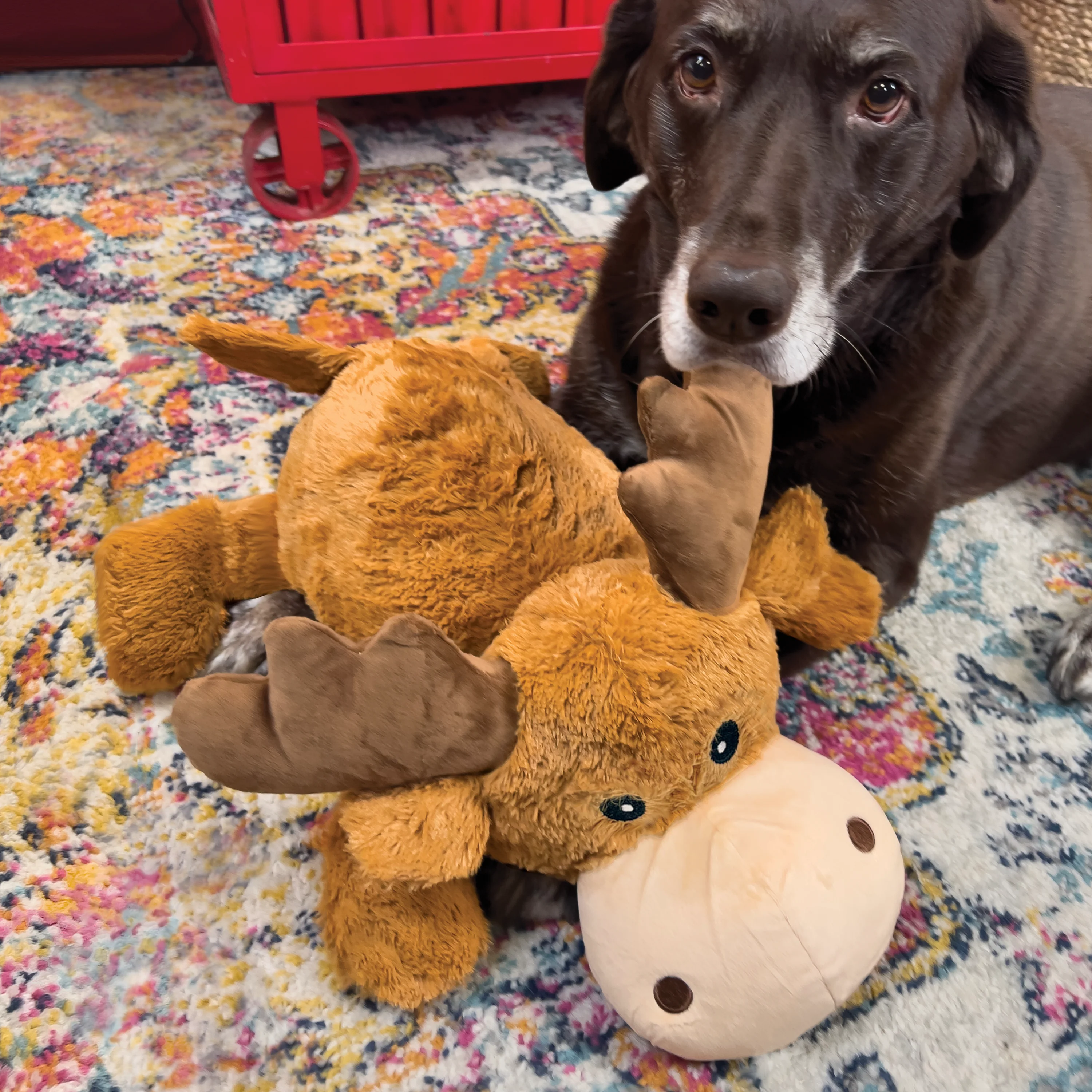 KONG Cozie Jumbo Marvin Moose Dog Toy, Extra Large - Image 3