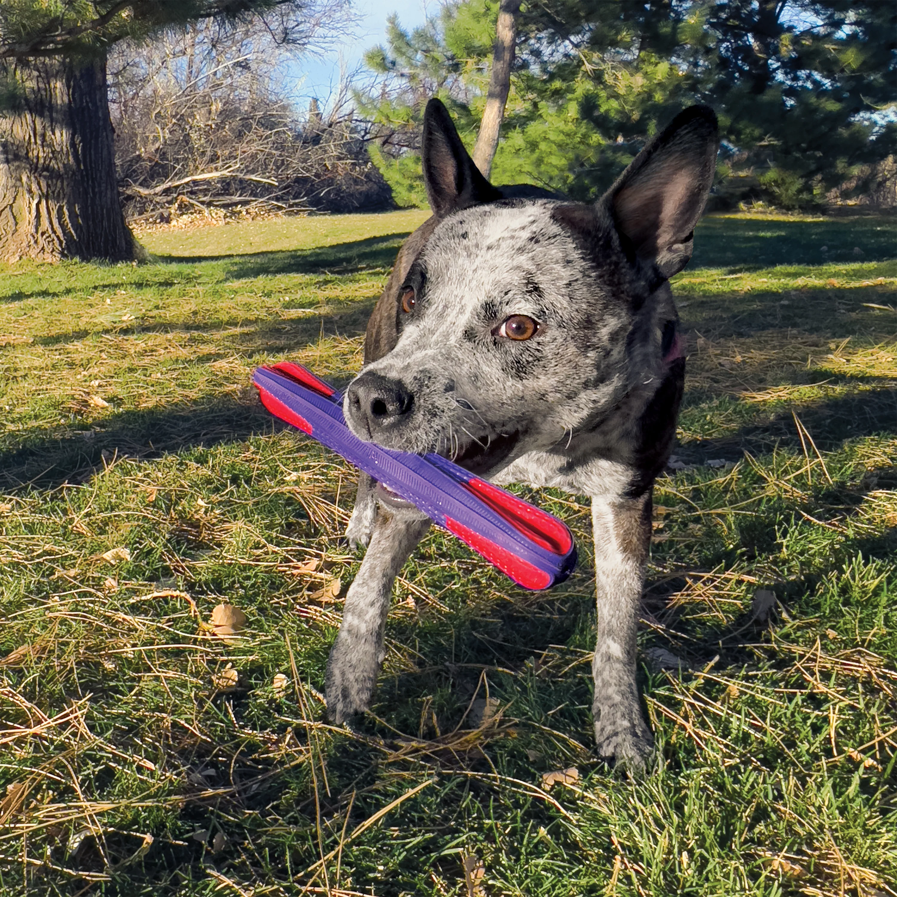 KONG Duets Duos Stick Dog Toy, Large - Image 3