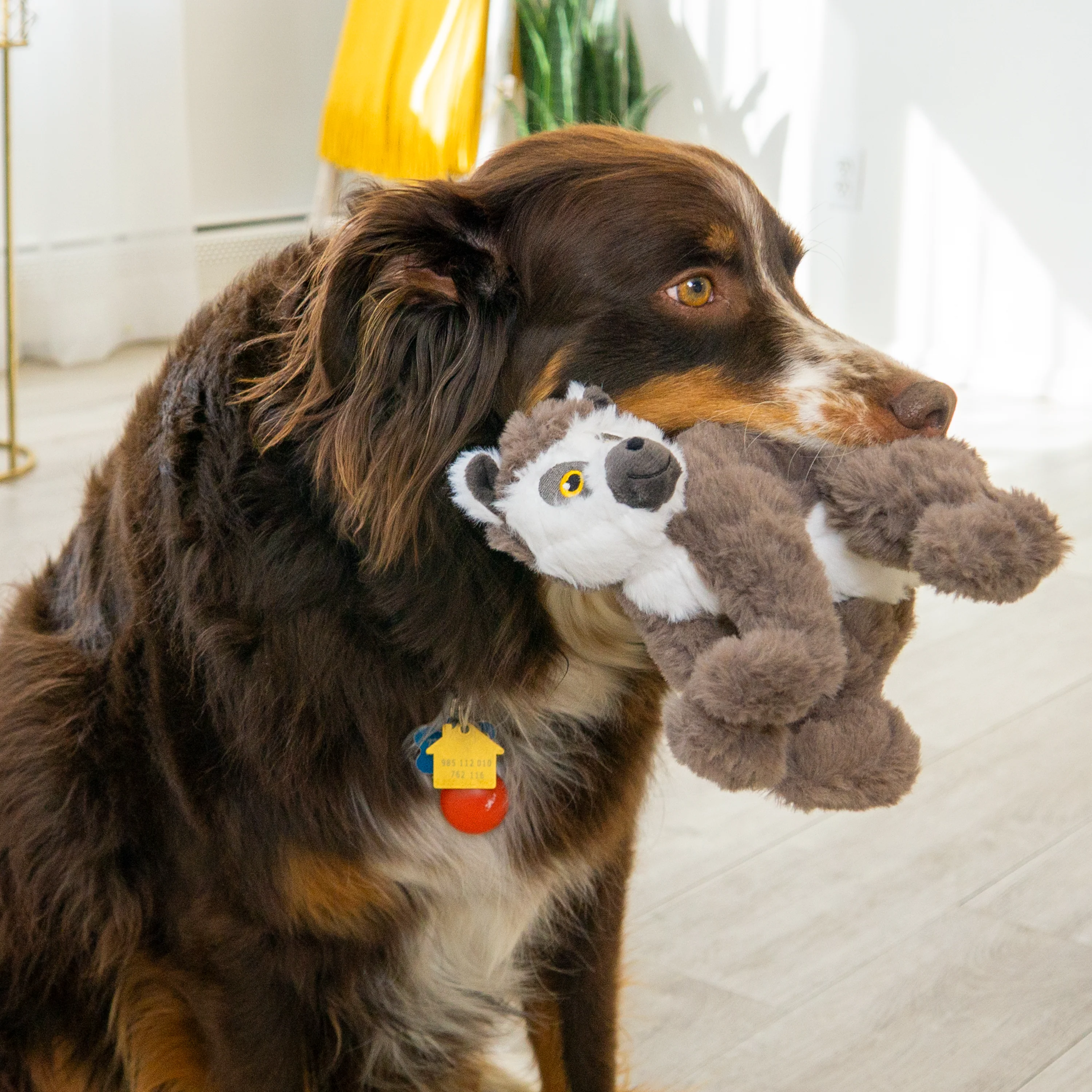 KONG Scampers Lemur, Medium Dog Toy - Image 3