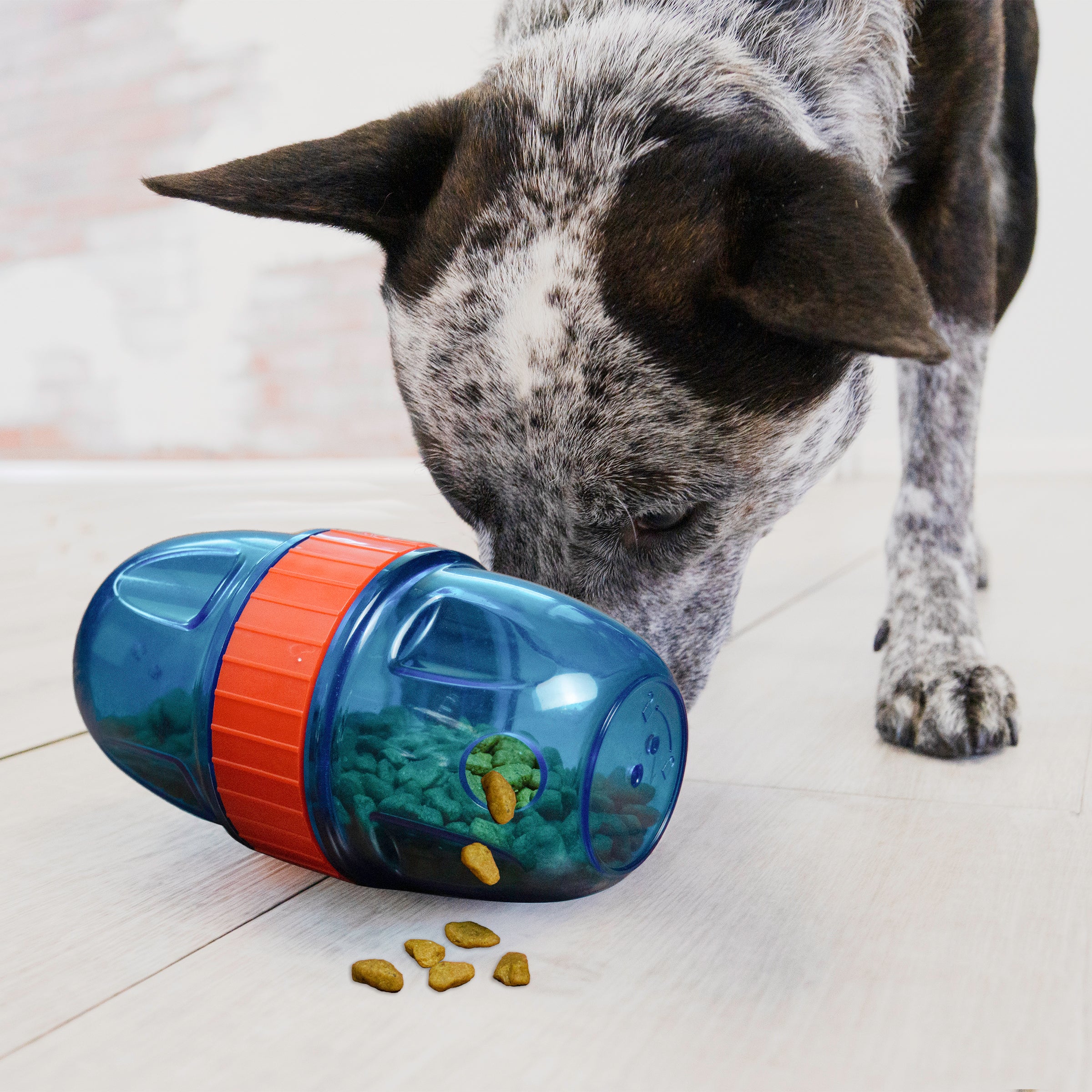 KONG Scuttle Pod Slow Feeder for Dogs, Large - Image 5