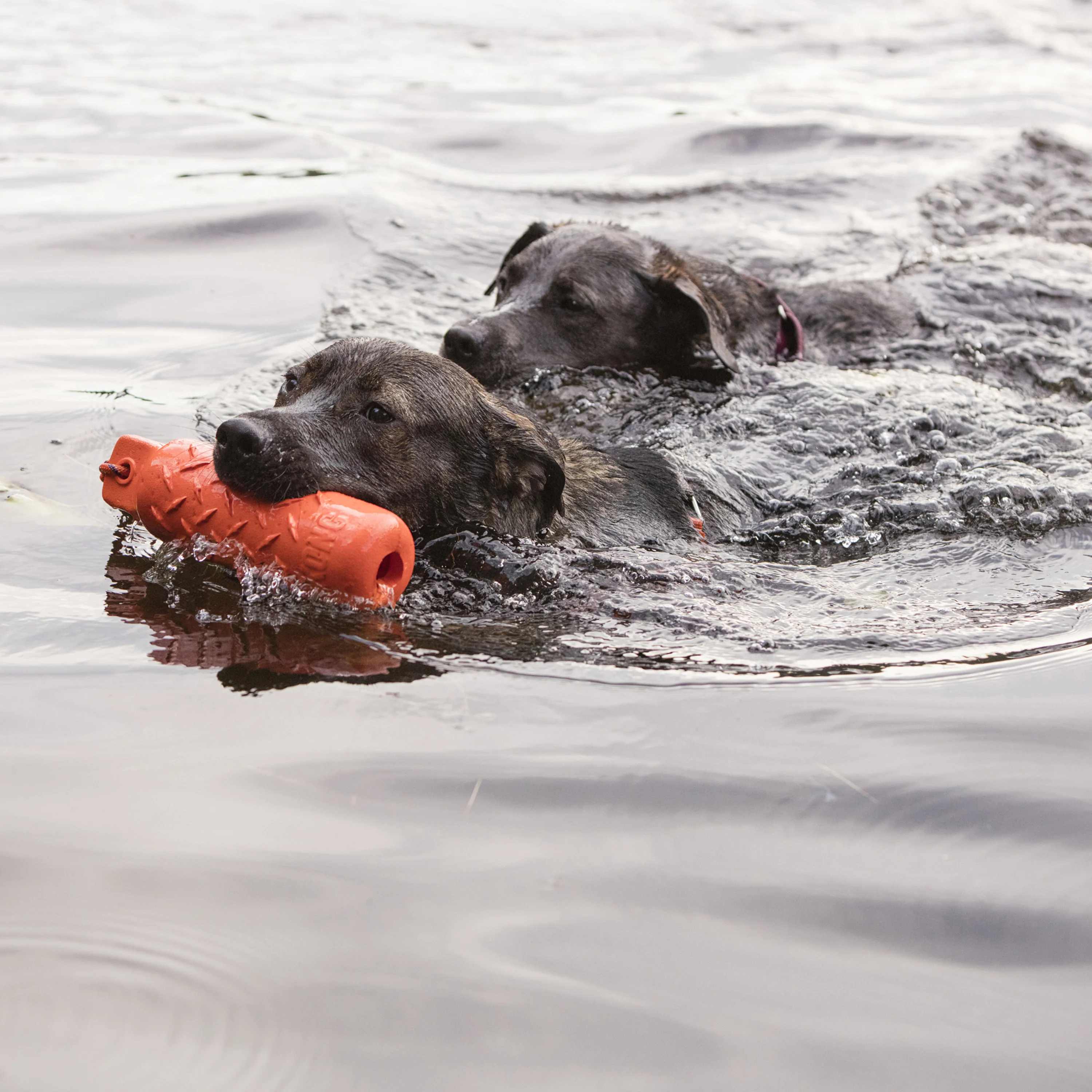 KONG Training Dummy, Large Dog Toy - Image 3