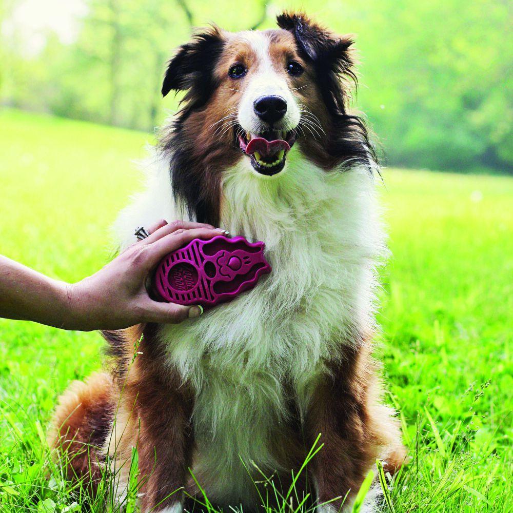 KONG ZoomGroom Brush for Dogs & Puppies - Image 2