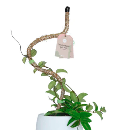 30" Bendable Coir Pole - Image 2