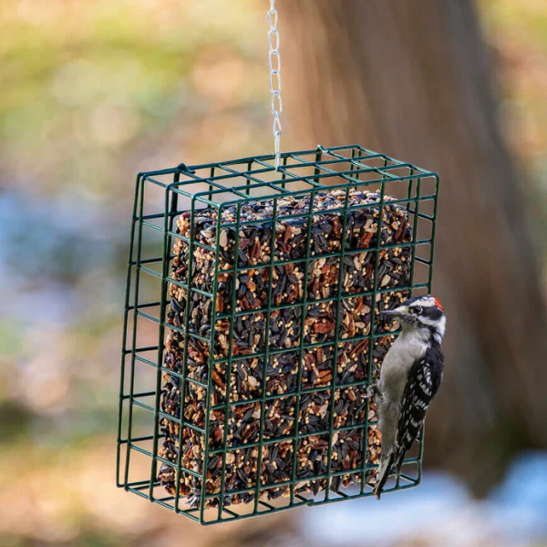 Neatfeeder XL Suet/Seed Cake Feeder - Image 2