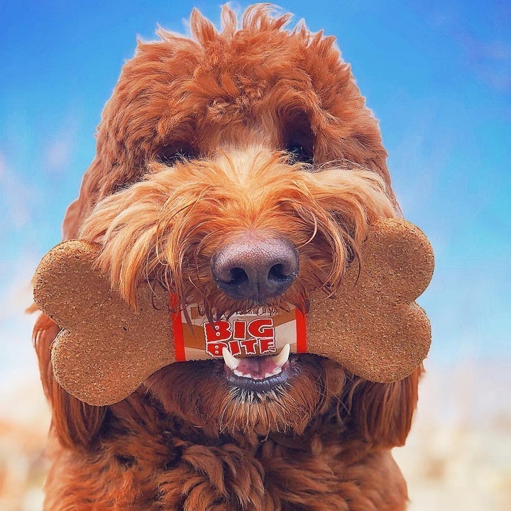Nature's Animals Big Bite 8" Peanut Butter - Image 6