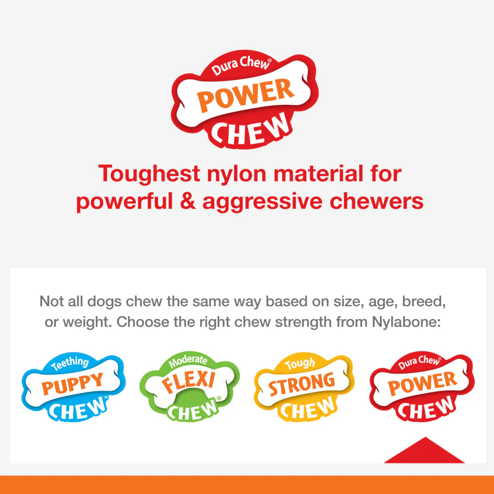 Nylabone Power Chew Broccoli Dog Toy, Large/Giant - Image 4