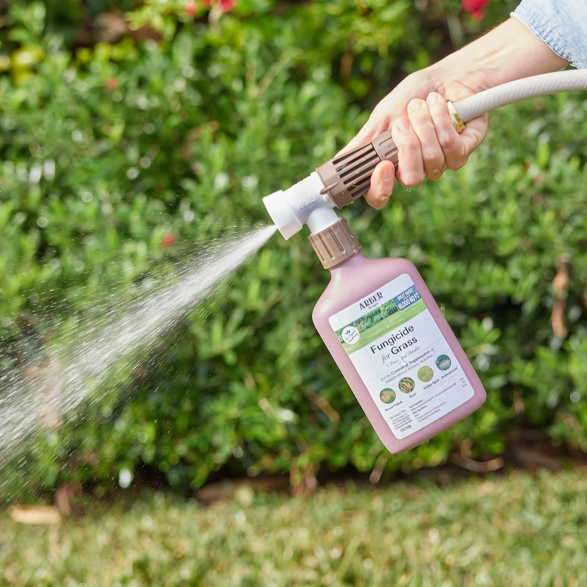 Organic Fungicide for Grass, Trees & Shrubs - Image 3