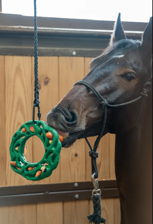 PetKORE Luna Ring: The Ultimate Treat Puzzle for Horses - Image 5
