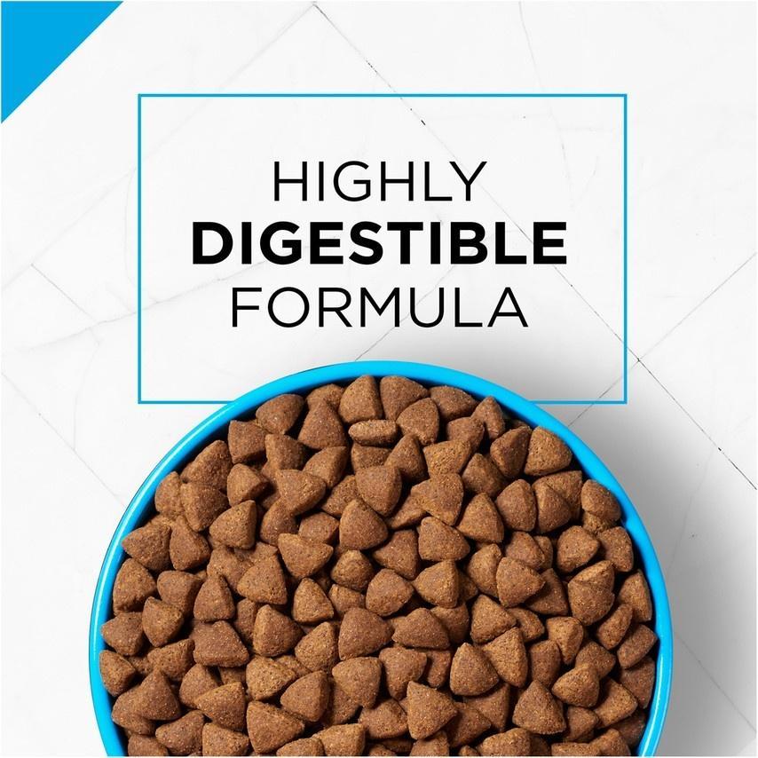 Purina Pro Plan Sensitive Skin & Stomach Formula Salmon & Rice Formula Dry Dog Food - Image 6