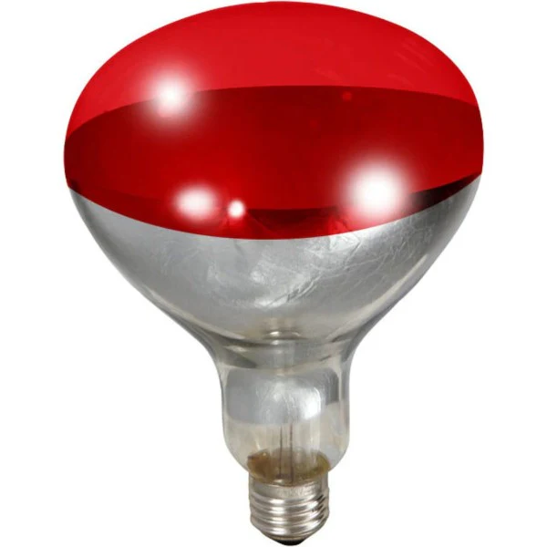 Little Giant Red Heat Lamp Bulb 250w - Image 2