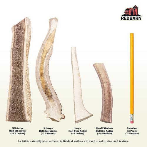 Redbarn Naturals Half Deer Antler - Image 2