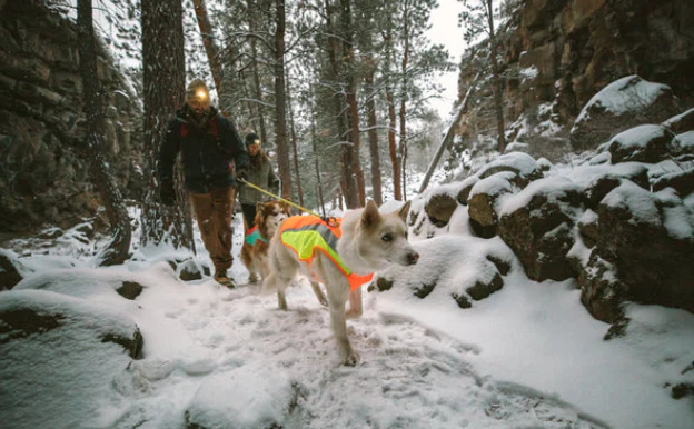 Lumenglow™ Hi-Vis Dog Jacket, Blaze Orange - Reflective, High-Visibility - Image 2