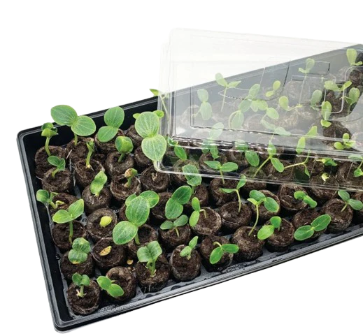Jiffy® Seed Starter® Greenhouse® Kit - Image 2
