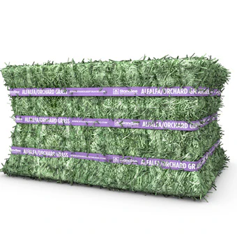 Standlee Premium Alfalfa/Orchard Grass Compressed Bale, 52.5 lbs