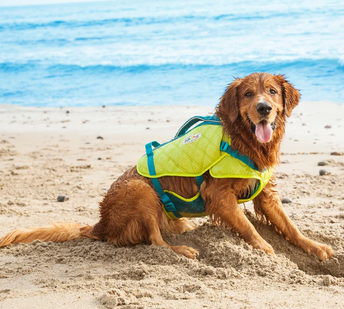 Standley Sport Life Jacket - Image 2
