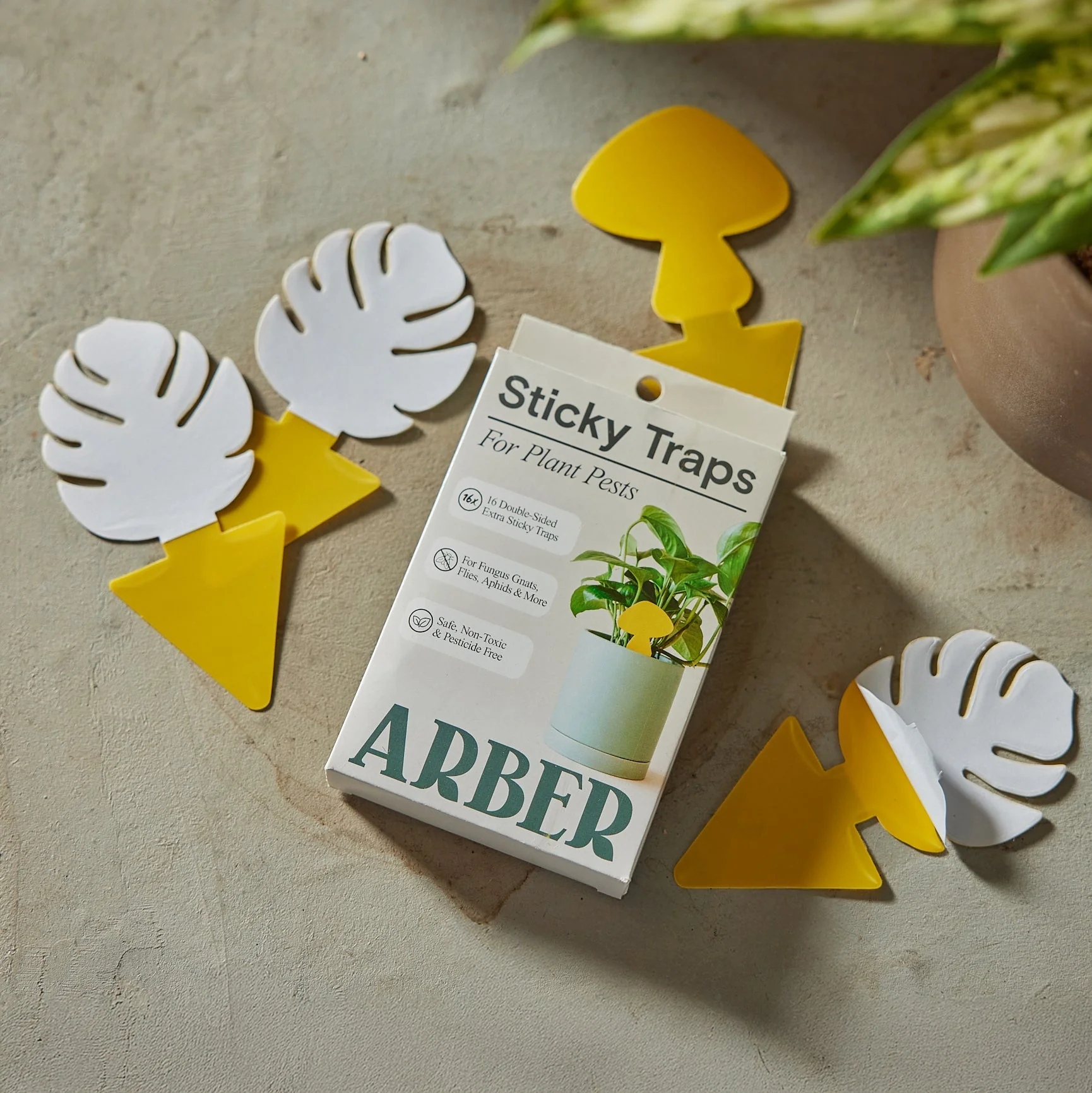 Sticky Traps for Plant Pests - Image 4