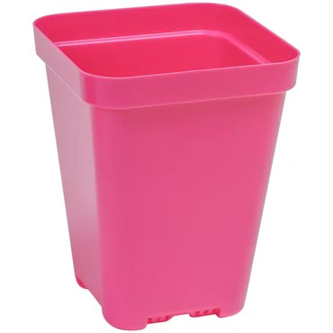 Sunpack 3.3" Square Pot, Magenta