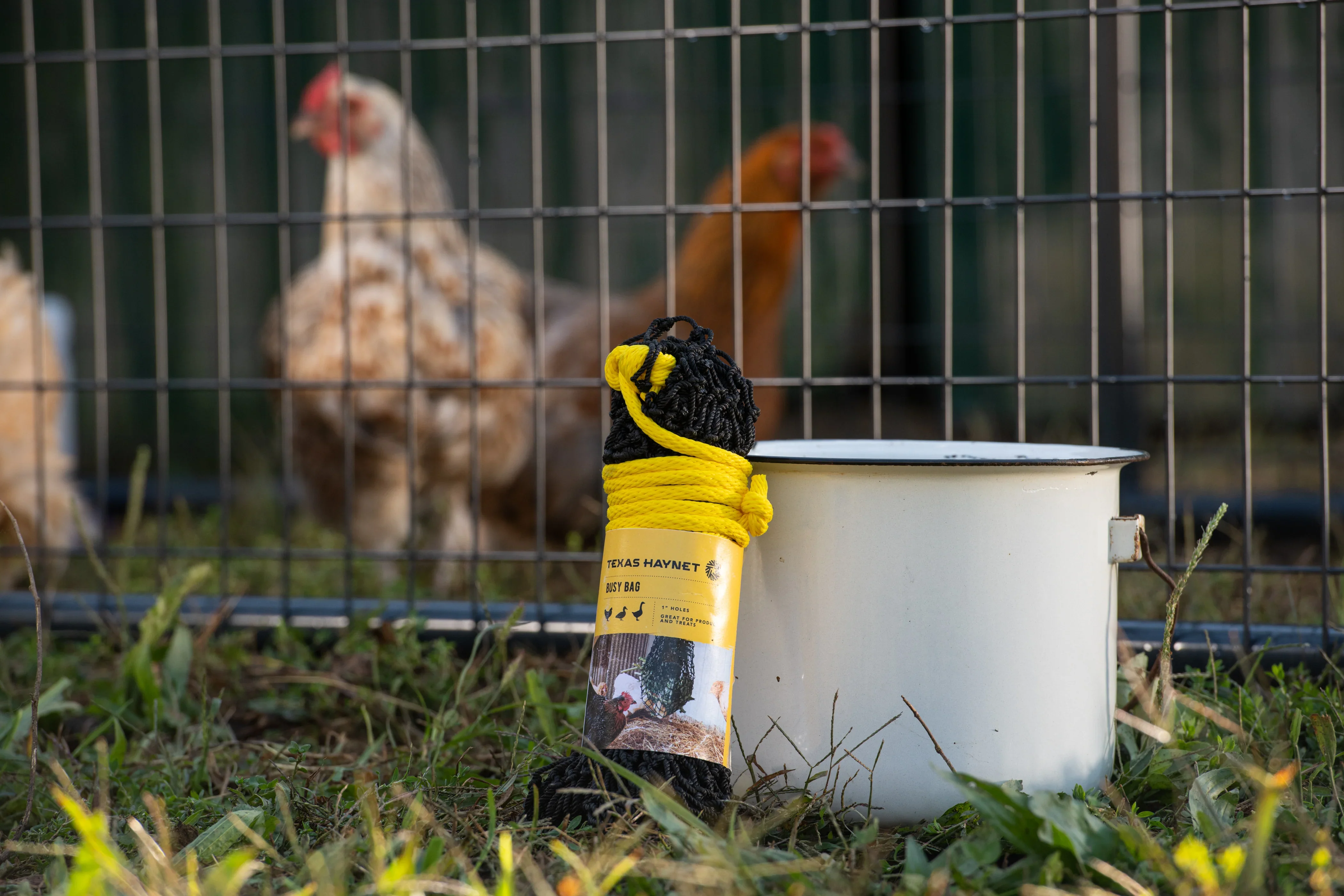 Busy Bag - Chicken Feeder - Image 3