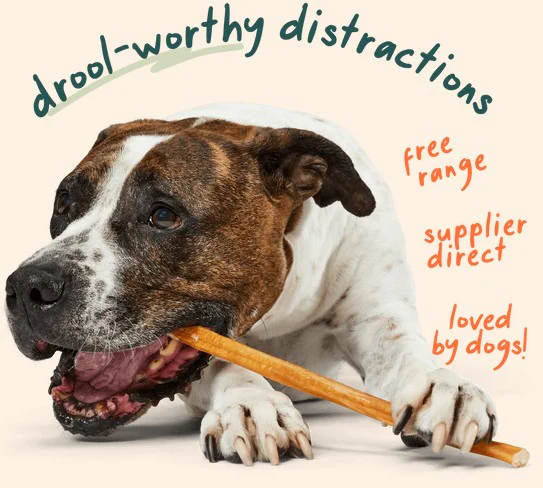 WOOF Free Range Bullysafe Bully Sticks, 12" 5pk - Image 2
