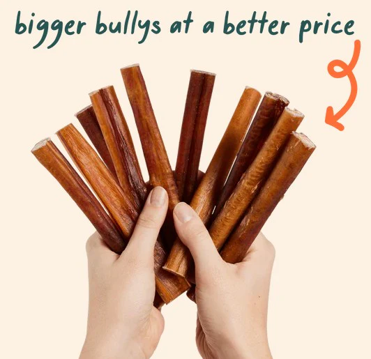 WOOF Free Range Bullysafe Bully Sticks, 12" 5pk - Image 3